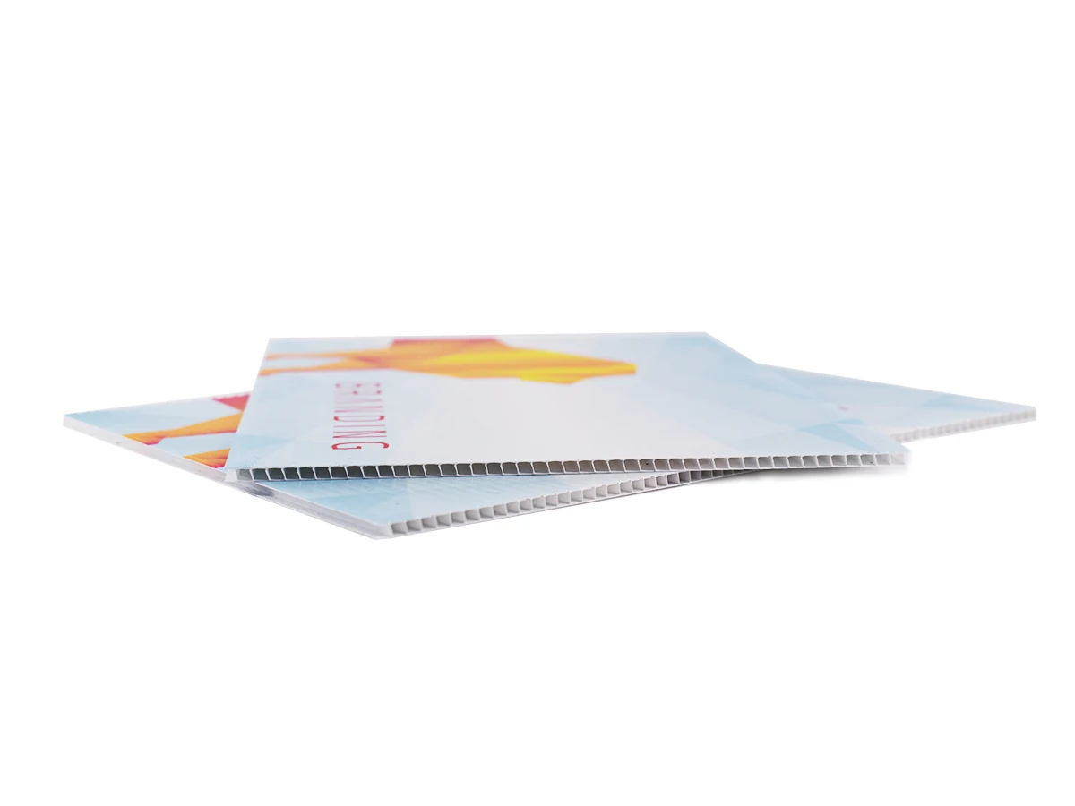 Guenstiges Wahlplakat aus Hohlkammerplatte Gnoien