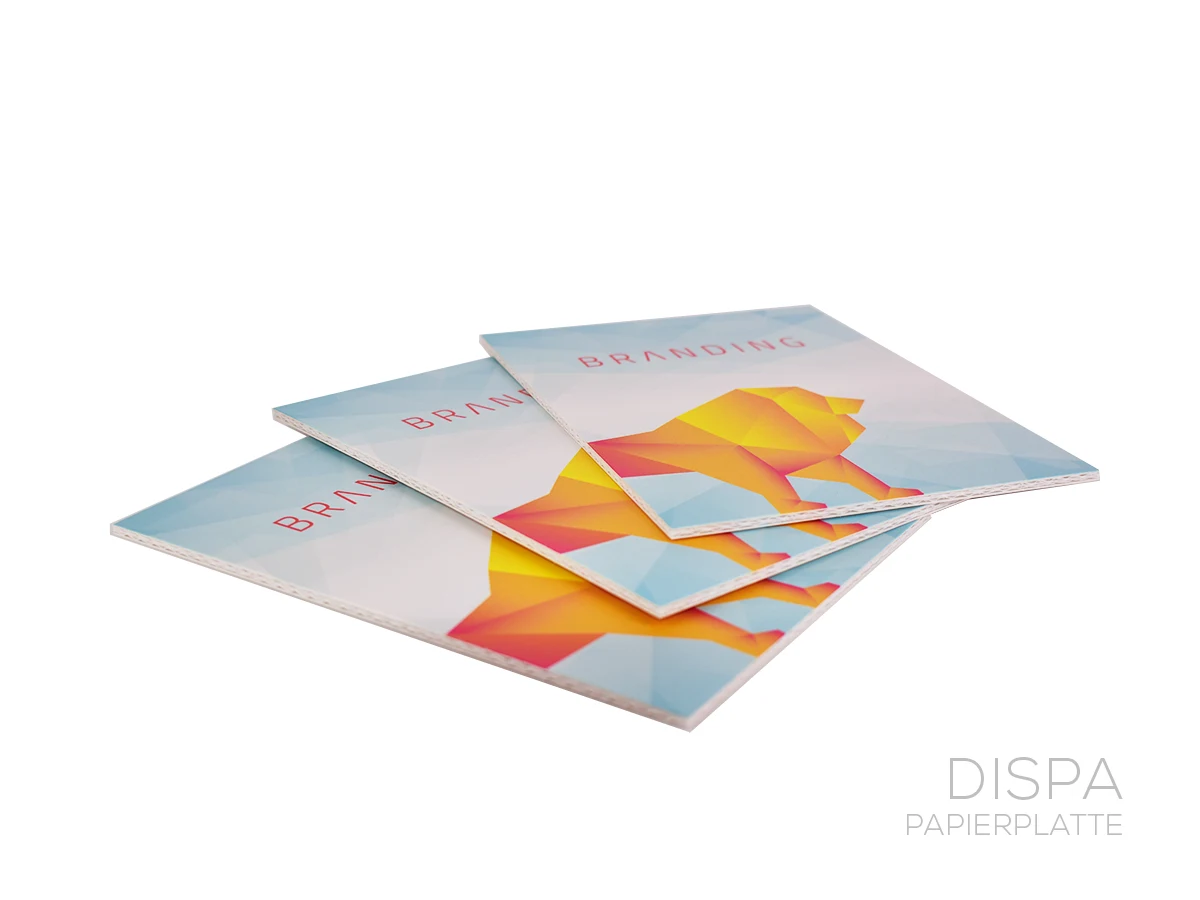 Pappschild fuer Schaufenster kaufen Haßfurt