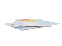 Wahlwerbung aus Hohlkammerplatte online bestellen Schauenstein